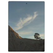 Porte-bloc Lone Torrey Pine Californie Sunset Paysage (Dos)