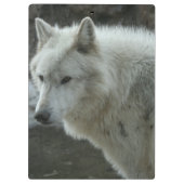Porte-bloc Loup blanc (Dos)