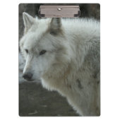 Porte-bloc Loup blanc (Devant)