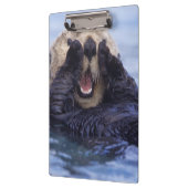 Porte-bloc Loupe de mer | Alaska, USA (Gauche)