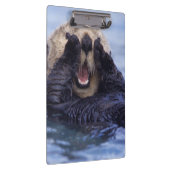 Porte-bloc Loupe de mer | Alaska, USA (Swatch)