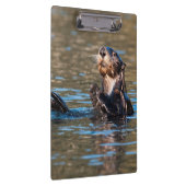Porte-bloc Loupe de mer ensoleillée (Swatch)