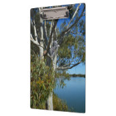 Porte-bloc L'Ours De Koala Dormait Dans Un Arbre De Gomme, (Gauche)