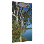 Porte-bloc L'Ours De Koala Dormait Dans Un Arbre De Gomme, (Swatch)