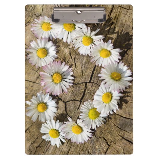 Porte-bloc Love Heart Daisies (Devant)