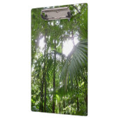 Porte-bloc Lumière du soleil à travers la canopée de la forêt (Gauche)