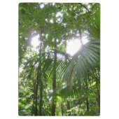 Porte-bloc Lumière du soleil à travers la canopée de la forêt (Dos)