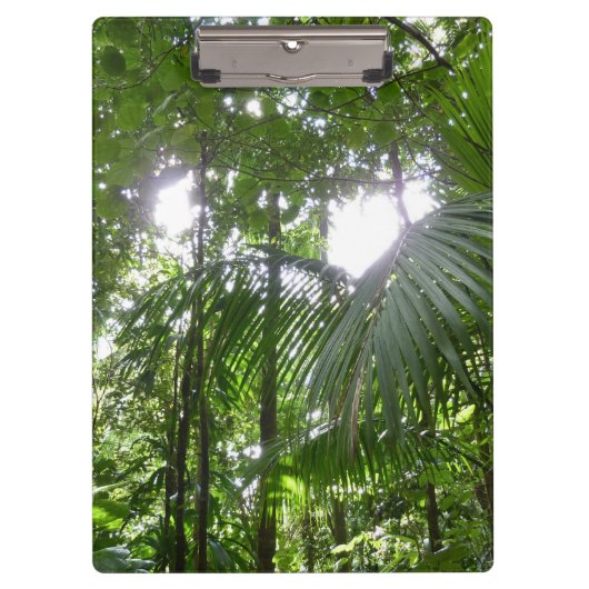 Porte-bloc Lumière du soleil à travers la canopée de la forêt (Devant)