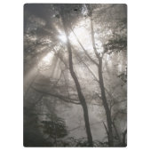 Porte-bloc Lumière Solaire À Travers Les Arbres Bois Sombre (Dos)