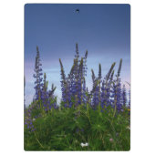 Porte-bloc Lupins (Dos)