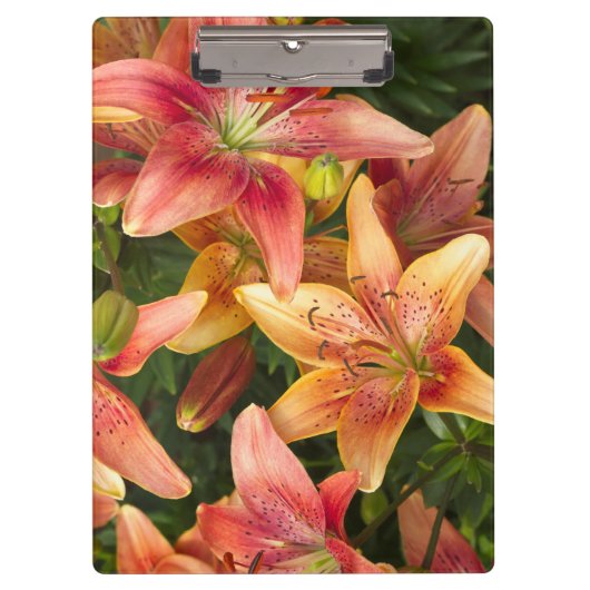 Porte-bloc Lys du jardin (Devant)