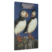 Porte-bloc Macareux moine (Swatch)