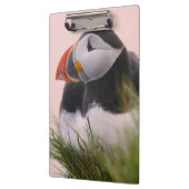 Porte-bloc Macareux moine (Fratercula arctica) (Gauche)