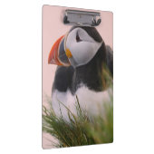 Porte-bloc Macareux moine (Fratercula arctica) (Swatch)