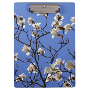 Porte-bloc Magnolias florissants