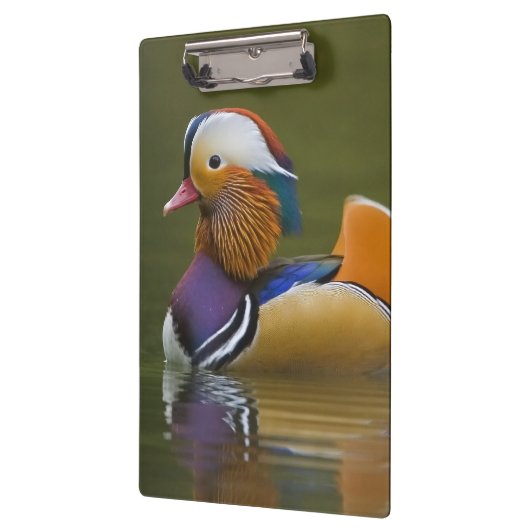 Porte-bloc Mandarin sauvage Aix galericulata) sur le noir (Gauche)