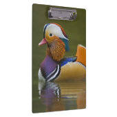 Porte-bloc Mandarin sauvage Aix galericulata) sur le noir (Swatch)