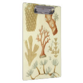 Porte-bloc Manuel de science Biologie, Animaux de corail vint (Swatch)