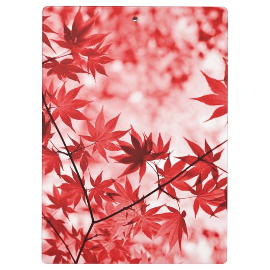 Porte-bloc Maple Feuille Landscape Design-21355 (Dos)