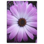 Porte-bloc Marguerite pourpre (Dos)
