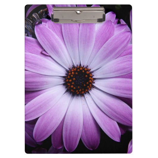 Porte-bloc Marguerite pourpre (Devant)