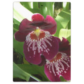 Porte-bloc Maroon Orchids II (Dos)