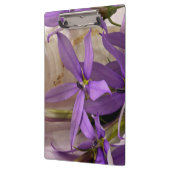 Porte-bloc Mauve Starshine Laurentia (Gauche)