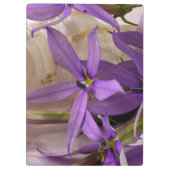Porte-bloc Mauve Starshine Laurentia (Dos)