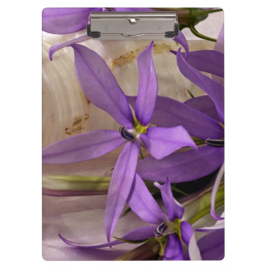 Porte-bloc Mauve Starshine Laurentia (Devant)