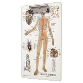 Porte-bloc Médecins Bureau Porte - bloc d'anatomie cardiaque (Gauche)