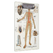 Porte-bloc Médecins Bureau Porte - bloc d'anatomie cardiaque (Swatch)