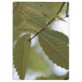 Porte-bloc méditer sur la création de Dieu nature feuilles (Dos)