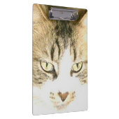 Porte-bloc Meow Cats 14 Porte - blocs (Swatch)