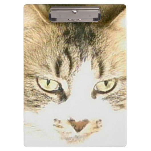 Porte-bloc Meow Cats 14 Porte - blocs (Devant)
