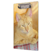 Porte-bloc Meow Cats 15 Clip Board (Gauche)
