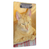 Porte-bloc Meow Cats 15 Clip Board (Swatch)