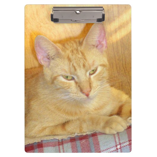 Porte-bloc Meow Cats 15 Clip Board (Devant)