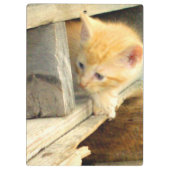 Porte-bloc Meow Cats 1 Porte - bloc (Dos)