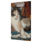 Porte-bloc Meow Cats 23 Porte - blocs (Gauche)