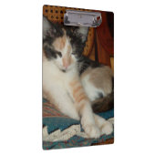 Porte-bloc Meow Cats 23 Porte - blocs (Swatch)