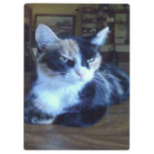 Porte-bloc Meow Cats 24 Porte - blocs (Dos)