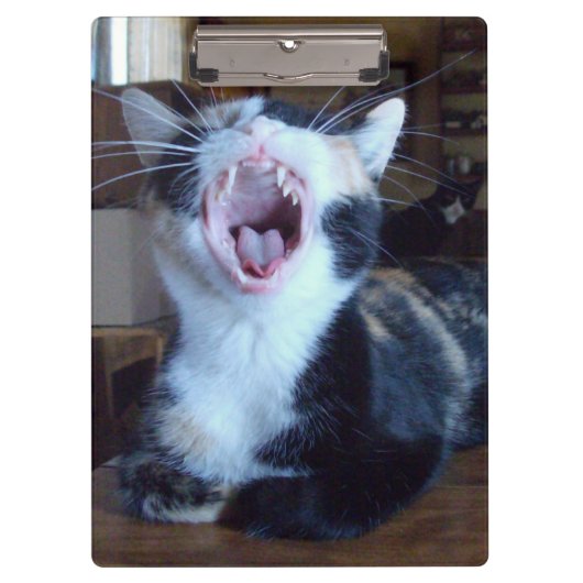 Porte-bloc Meow Cats 30 Porte - blocs (Devant)