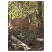 Porte-bloc Mère et bébé cerf au Parc national de Shenandoah (Dos)