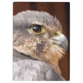 PORTE-BLOC MERLIN FALCON OISEAU DE PREY (Dos)