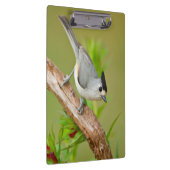Porte-bloc Mésange à crête noire (Swatch)