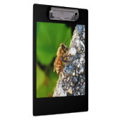 Porte-bloc Miel Bee Porte - bloc (Swatch)