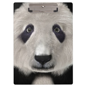 Porte-bloc Mignon Ours Panda Kawaii Amoureux des Animaux Cade