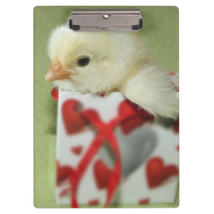 Porte-bloc mignon poulet chick assis boîte cadeau avec coeur
