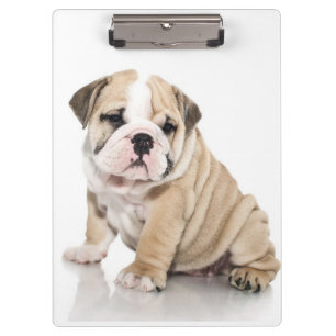 Porte-bloc Mignonne Chien-taupe Chien Triste
