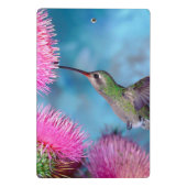 Porte-bloc Mini Porte - bloc/Colibri (Dos)